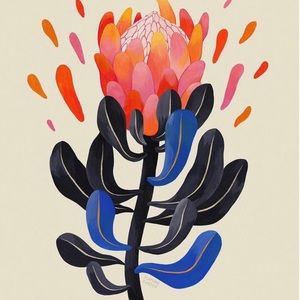 Meet your Posher, Andi